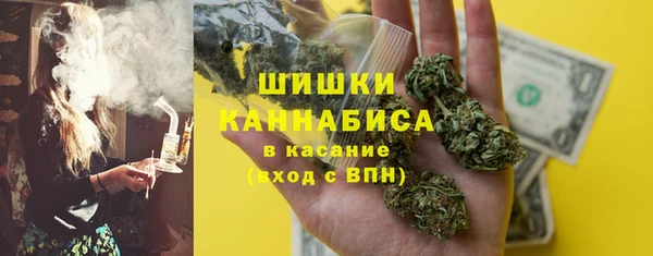 ПСИЛОЦИБИНОВЫЕ ГРИБЫ Бородино