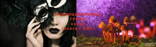 марки nbome Богданович