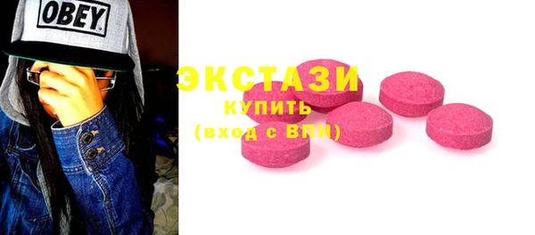 ECSTASY Богородицк