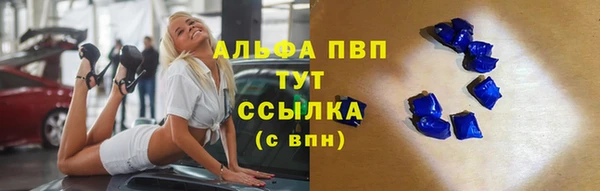 ПСИЛОЦИБИНОВЫЕ ГРИБЫ Бородино