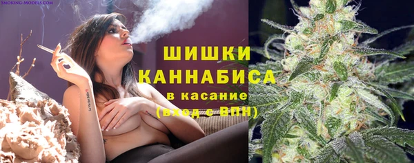 ПСИЛОЦИБИНОВЫЕ ГРИБЫ Бородино