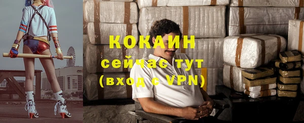 ПСИЛОЦИБИНОВЫЕ ГРИБЫ Бородино