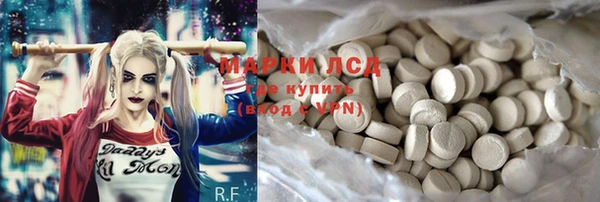 ECSTASY Богородицк